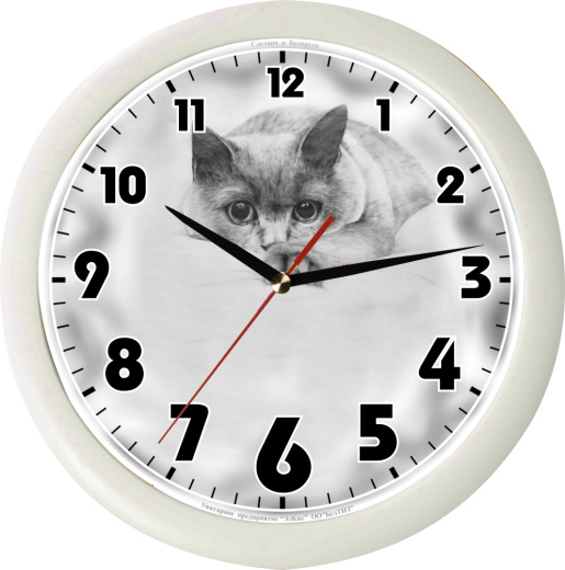 Часы настенные ЧНК-01 (корпус "Белый")